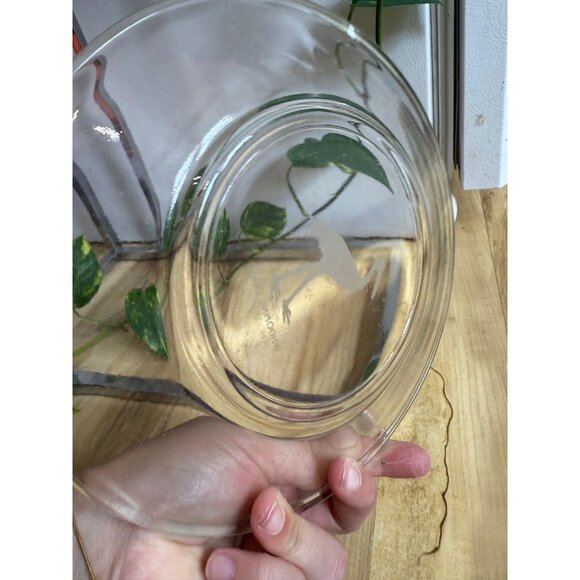 Vintage Etched Glass Plate – Whooping Crane Design - Picture 6 of 7